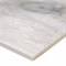 Msi Antoni Platinum SAMPLE Glazed Porcelain Floor And Wall Tile ZOR-PT-0537-SAM - alternate 4